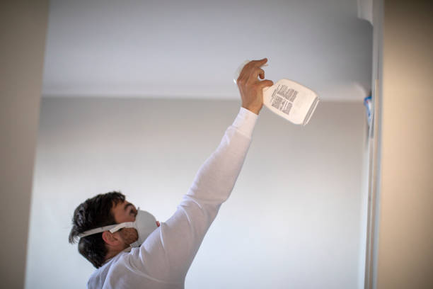 Best Residential Mold Remediation in Eastpointe, MI