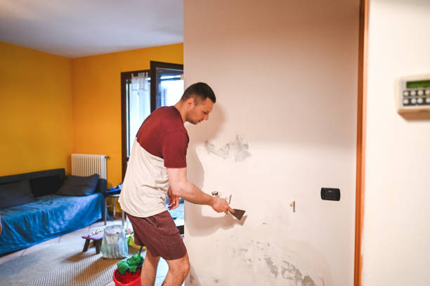 Best Residential Mold Remediation in Eastpointe, MI